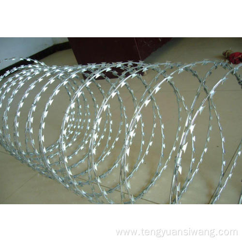 Thorn rope, prison, thorn cage, anti-theft